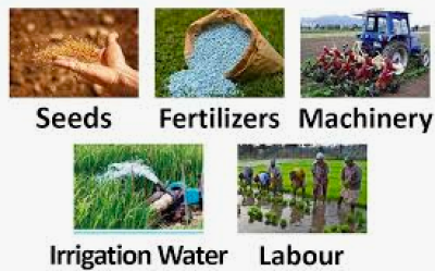 Agricultural Inputs & Equipment